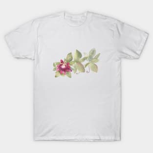 Passiflora watercolor illustration T-Shirt